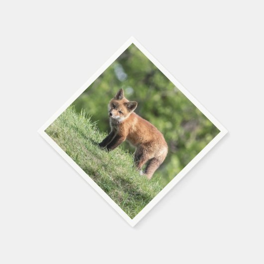 De rode Uitrusting van de Vos Servetten (Hoek)