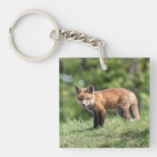 De rode Uitrusting van de Vos Sleutelhanger (Voorkant)