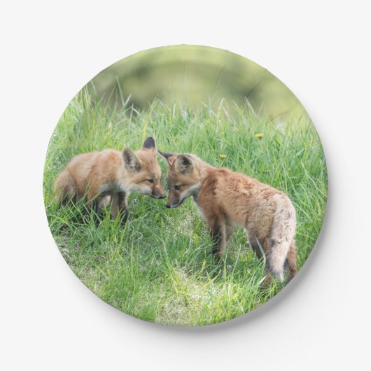 De rode Uitrustingen van de Vos Papieren Bordje (Voorkant)