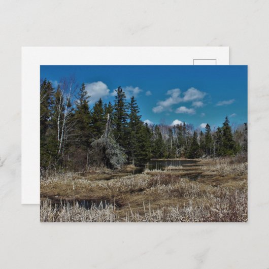 De rode Vijver van het Eiland Briefkaart (Voorkant / Achterkant)
