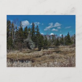 De rode Vijver van het Eiland Briefkaart