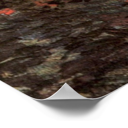 De Rode Vineyard van Vincent van Gogh Poster (Hoek)