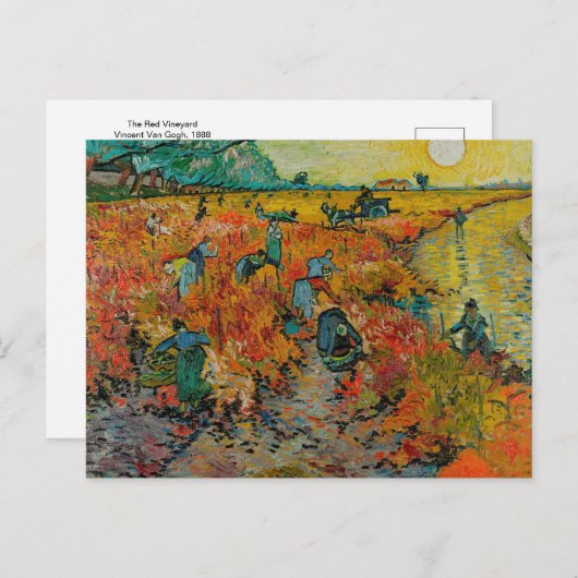 De Rode Vineyard, Vincent Van Gogh, Briefkaarten (Voorkant / Achterkant)