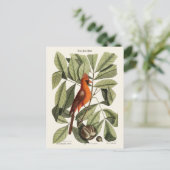 De rode vogel briefkaart (Staand voorkant)