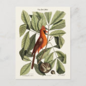 De rode vogel briefkaart (Voorkant)