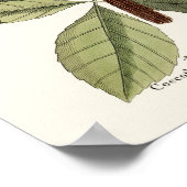 De rode vogel - Seligmann Poster (Hoek)