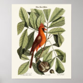 De rode vogel - Seligmann Poster (Voorkant)