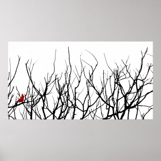 De rode vogel van Leslie Peppers Poster (Voorkant)