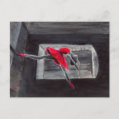 De Rode Zwan Briefkaart (Voorkant)