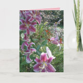 De Roerende Lelies van de Dromer van de zuster, Kaart (Voorkant)