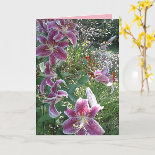 De Roerende Lelies van de Dromer van de zuster, Kaart (Gele Bloem)