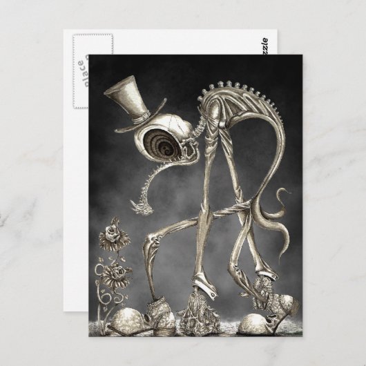 De rol met achtergrond briefkaart (Voorkant / Achterkant)