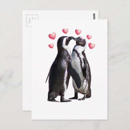 De Romance van de pinguïn Briefkaart (Voorkant / Achterkant)