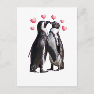 De Romance van de pinguïn Briefkaart
