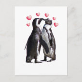De Romance van de pinguïn Briefkaart (Voorkant)