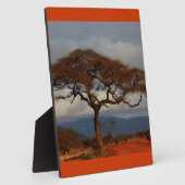 De romantische Vrede van de Douane van het Fotoplaat (Zijkant)