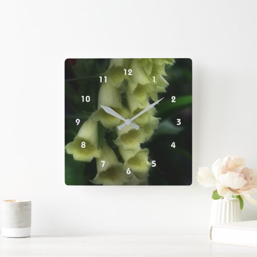 De romig witte Bloemen van de Digitalis Vierkante Klok (Huis)