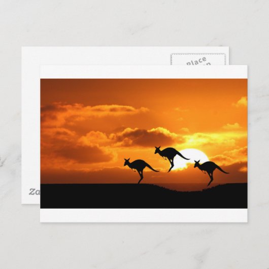 DE ROO RUNNERS. BRIEFKAART (Voorkant / Achterkant)