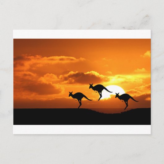 DE ROO RUNNERS. BRIEFKAART (Voorkant)