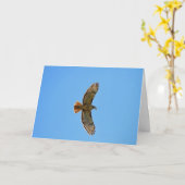 De rood-de steel verwijderde van Foto van de Havik Kaart (Gele Bloem)