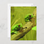 De rood-eyed Kikkers van de Boom Feestdagenkaart (Voorkant / Achterkant)