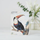 De roodbilled Toucan (1748) van Aert Schouman Kaart (Staand voorkant)