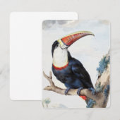 De roodbilled Toucan (1748) van Aert Schouman Kaart (Voorkant / Achterkant)