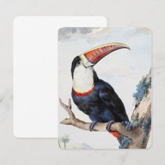 De roodbilled Toucan (1748) van Aert Schouman Kaart (Voorkant / Achterkant)