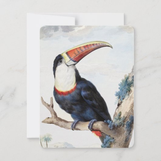 De roodbilled Toucan (1748) van Aert Schouman Kaart (Voorkant)