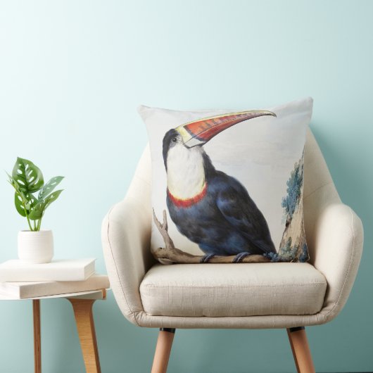 De roodbilled Toucan (1748) van Aert Schouman Kussen (Stoel)