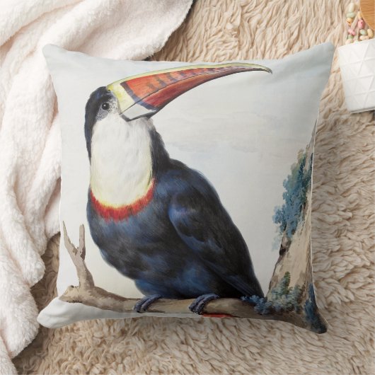 De roodbilled Toucan (1748) van Aert Schouman Kussen (Deken)