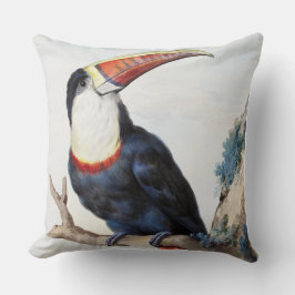 De roodbilled Toucan (1748) van Aert Schouman Kussen