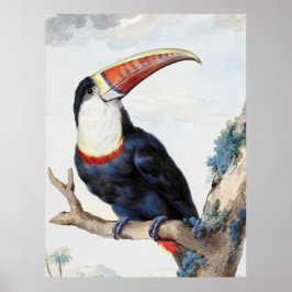 De roodbilled Toucan (1748) van Aert Schouman Poster