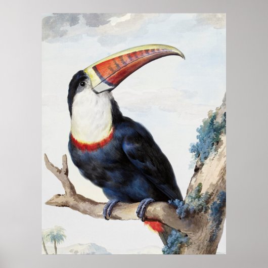 De roodbilled Toucan (1748) van Aert Schouman Poster (Voorkant)