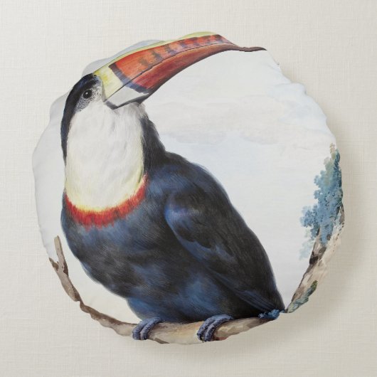 De roodbilled Toucan (1748) van Aert Schouman Rond Kussen (Achterkant)