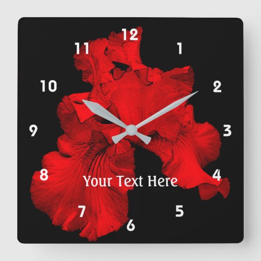 De roodgloeiende Gebaarde Bloem van de Iris Vierkante Klok (Voorkant)