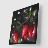 De roodgloeiende Peper van de Spaanse peper van Vierkante Klok (Hoek)