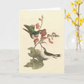 De roodkeelachtige of robijnrode kolibrie kaart (Gele Bloem)
