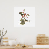 De roodkeelachtige of robijnrode kolibrie poster (Keuken)