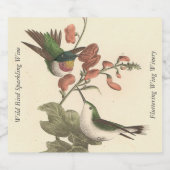 De roodkeelachtige of robijnrode kolibrie sparkling wijnetiket (Enkel label)