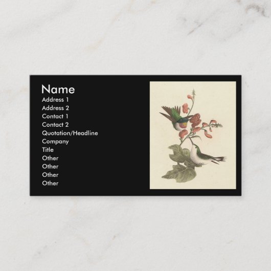 De roodkeelachtige of robijnrode kolibrie visitekaartje (Voorkant)