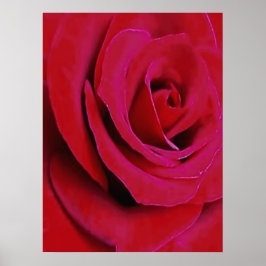 DE ROOIE ROOS POSTER