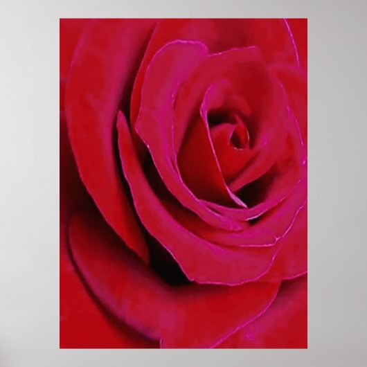 DE ROOIE ROOS      POSTER (Voorkant)