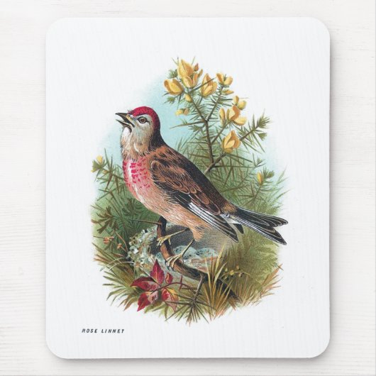 De Roos Linnet Muismat (Voorkant)