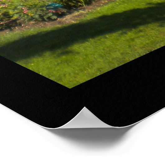 De Roos tuin van het Poster Elizabeth Park (Hoek)