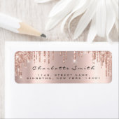 De Roos van de lichte Drijvende de Blush Etiketten (Insitu)