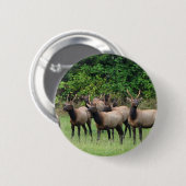 De Roosevelt Elk Herd Ronde Button 5,7 Cm (Voorkant /achterkant)