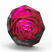 De rooskleurige Camellia ik hou van je! Fotoblokken (Rechts)