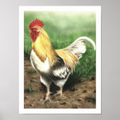De Rooster Poster (Voorkant)
