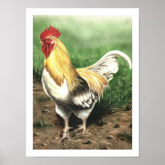 De Rooster Poster (Voorkant)